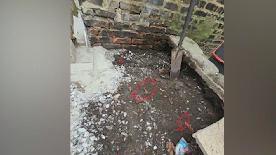 Bones found in Chicago are not human