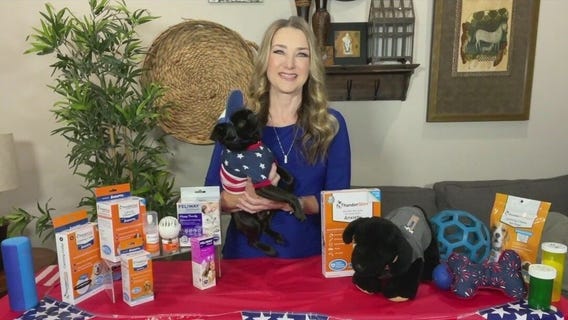 Keeping pets safe during Fourth of July fireworks