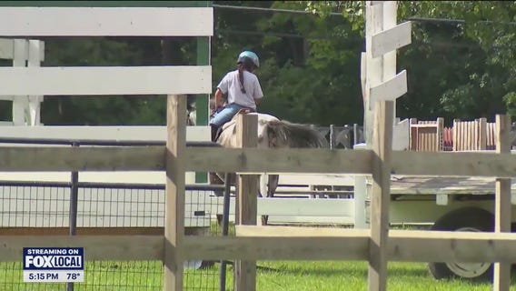 Palatine Park District plans to close horse stables