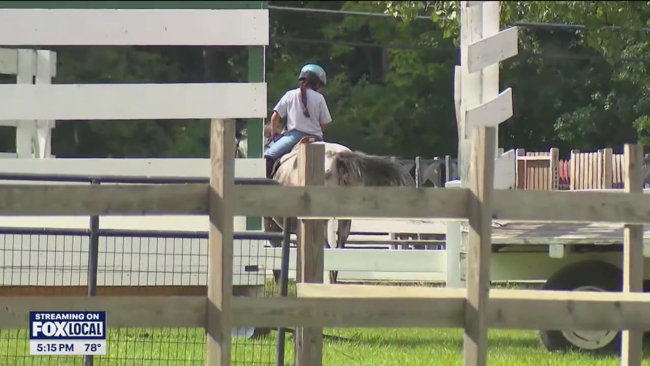 Palatine Park District plans to close horse stables
