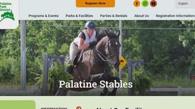 Community rallies against plans to close Palatine stables