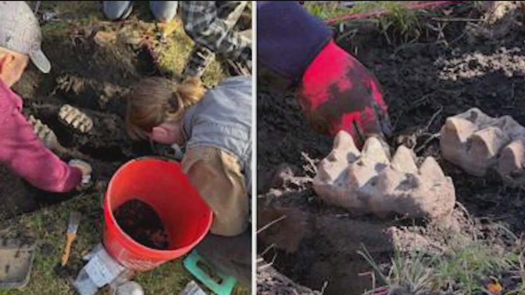 Prehistoric fossil found in NY backyard