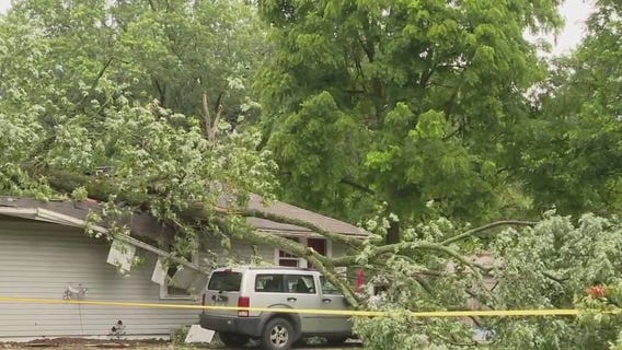 Indiana woman killed after tree falls on home identified