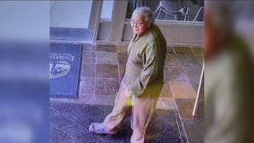 Surveillance photo shows elderly Skokie woman who went missing on July 15