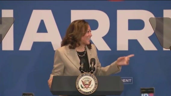 Democrats rally around Vice President Kamala Harris