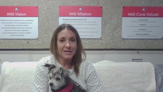 Hinsdale Humane Society food, supply pantry accepting donations