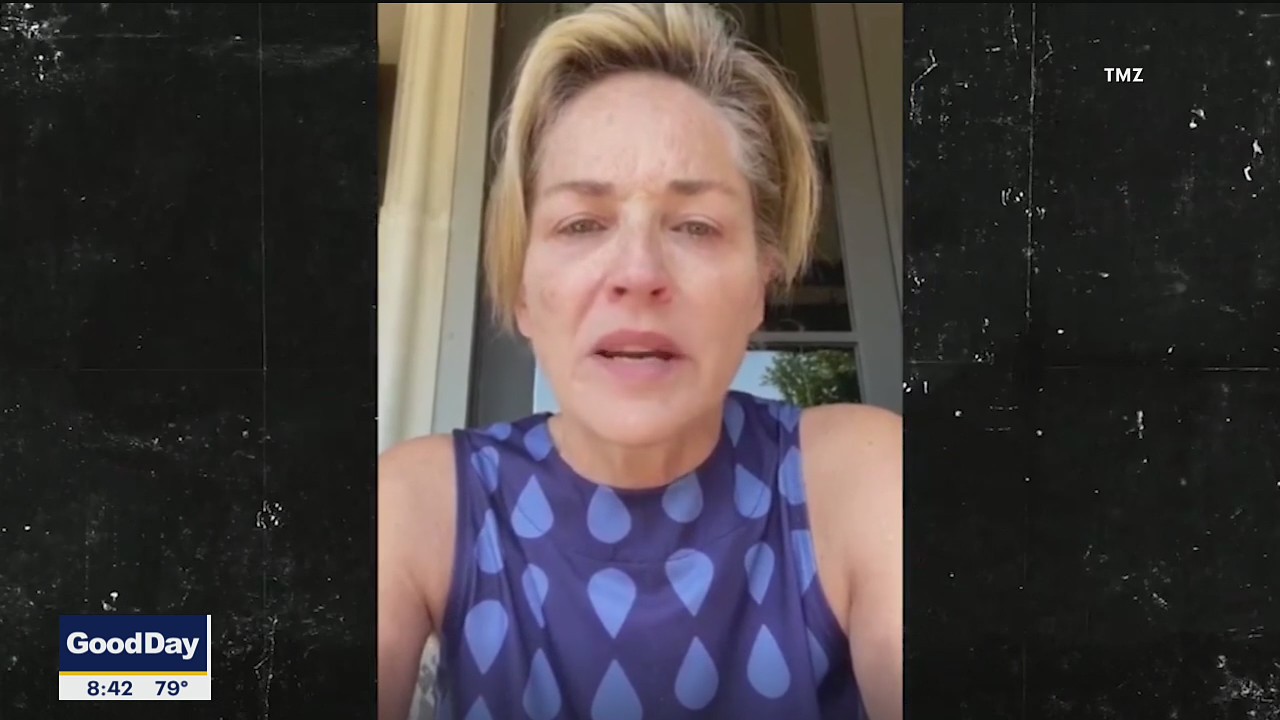 TMZ: Virtual conventions, Sharon Stone and more