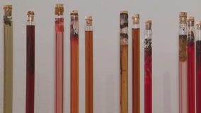 Chicago Botanic Garden showcases plant conservation