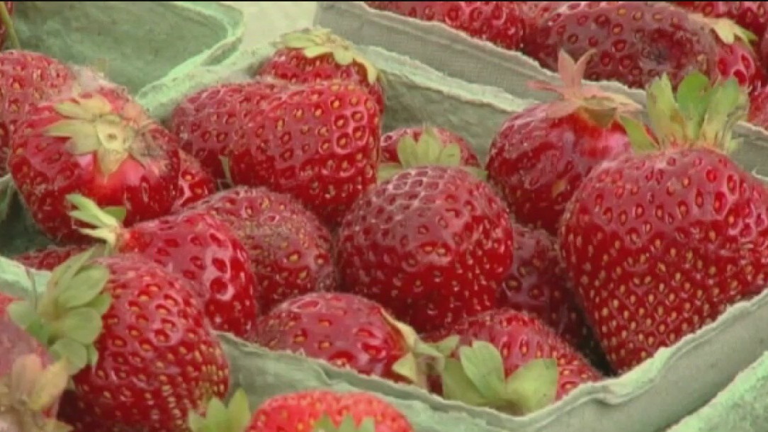 New prescription program sends fruits and vegetables to homes