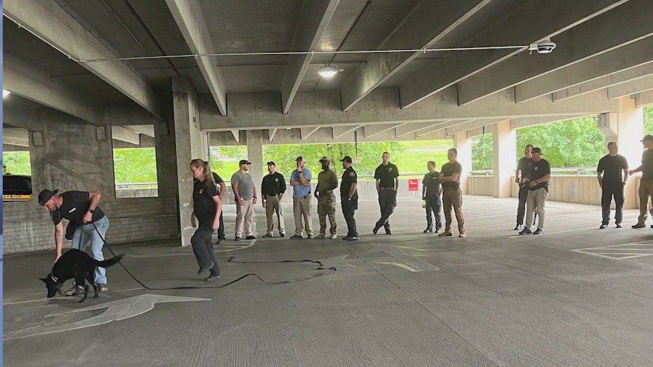 Virtual race honors fallen K9 officers