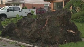 Cook County issues disaster proclamation after July derecho