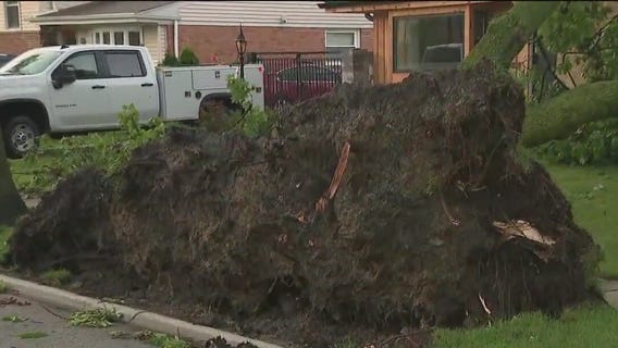 Cook County issues disaster proclamation after July derecho