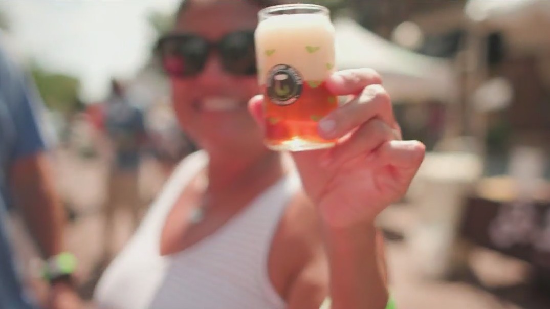 Micro Brew Review serves as a beer lover's paradise this weekend in Oak Park