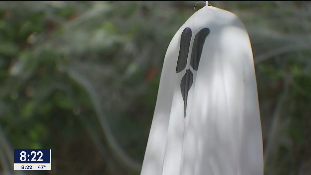 Halloween Safety Tips