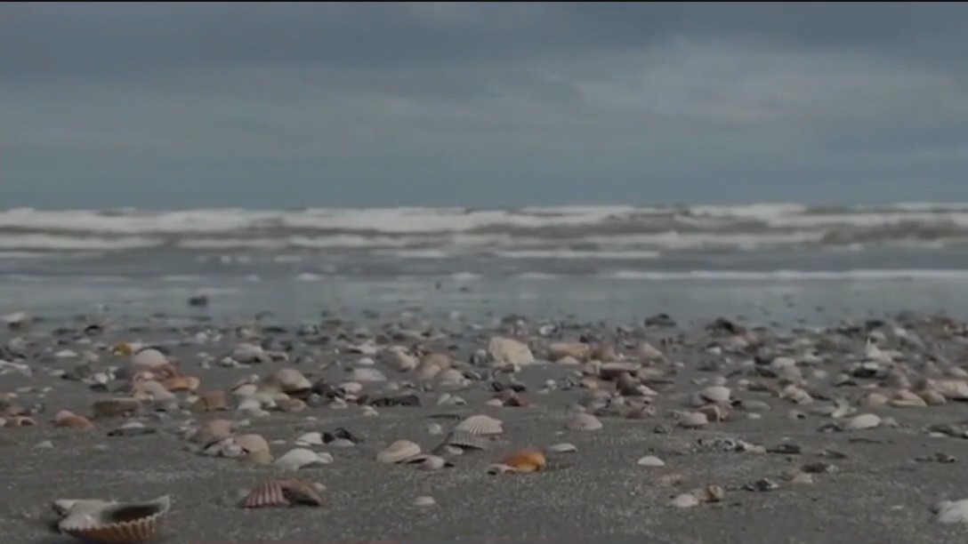 Francine to become hurricane by Tuesday as Gulf Coast rushes preparations