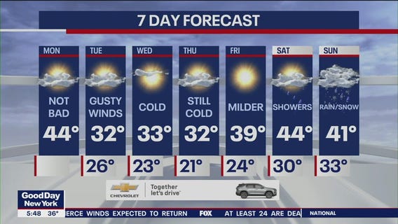 NYC weather forecast