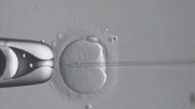 Senate rejects Right to IVF Act for the second time this year