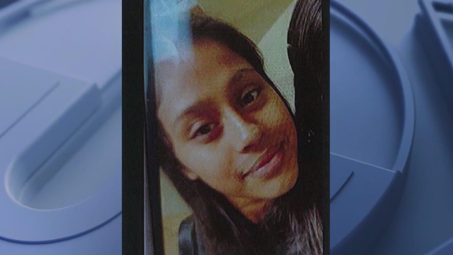 Search underway for missing Elk Grove Township teen