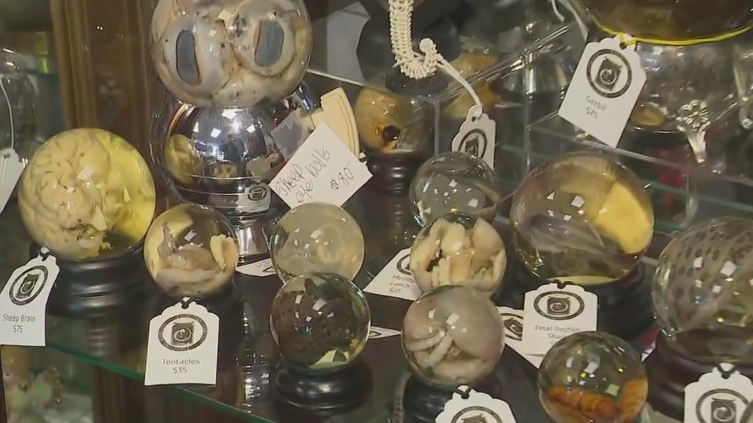 New antique store opens up in Arlington Heights