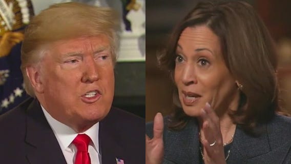 Polls show tight race between Trump and Harris, here's the breakdown