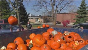 Leftover pumpkins? DuPage Forest Preserve says think before you dispose