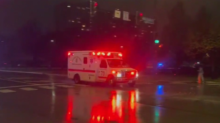 Chicago police officer shot in Chatham: sources | FOX 32 Chicago