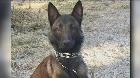 Illinois State Police K9 dies at age 11