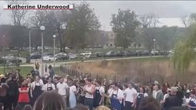 Yes, chef! Jeremy Allen White lookalike contest packs Chicago park