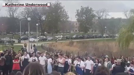 Yes, chef! Jeremy Allen White lookalike contest packs Chicago park