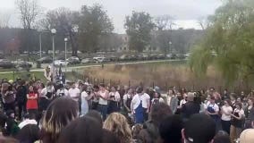 Jeremy Allen White lookalike contest packs Chicago park