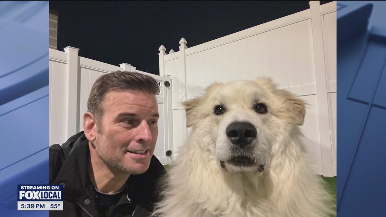 'Bjorn' needs a home!