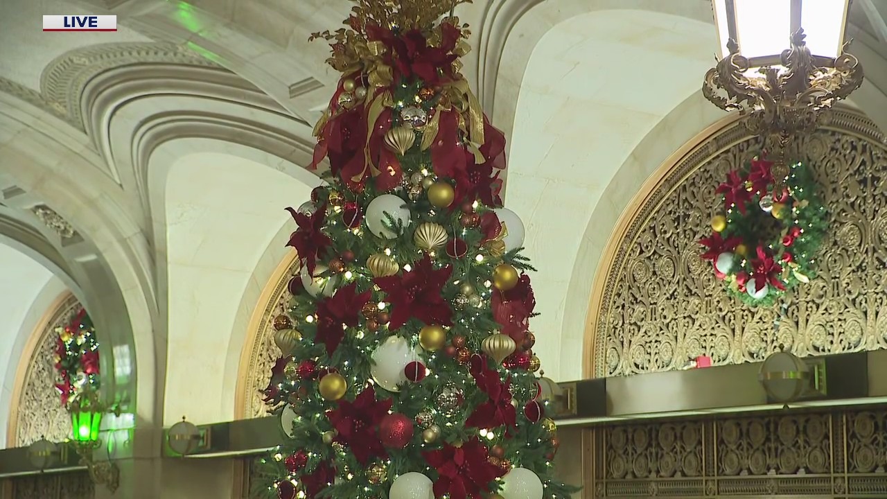 Lighting the 2024 Cook County Holiday Tree