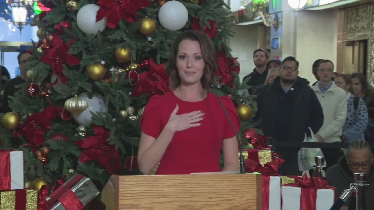 Cook County Tree Lighting 2024