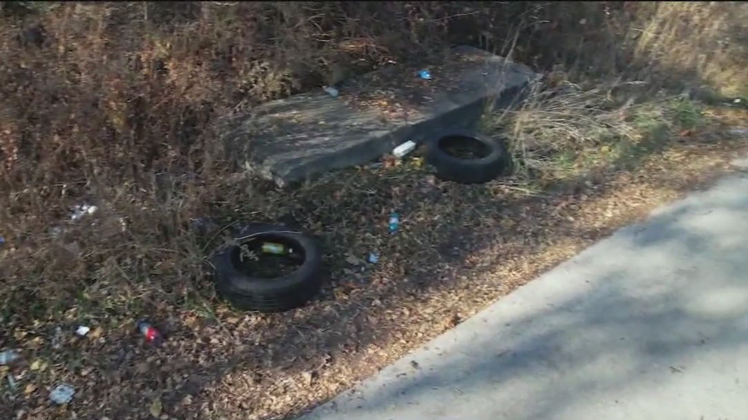 Roseland residents demand action on overgrown lot turned dumping ground