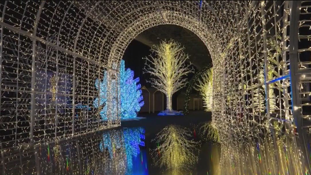 'Light Up the Lake' brings holiday fun to Chicago's Navy Pier