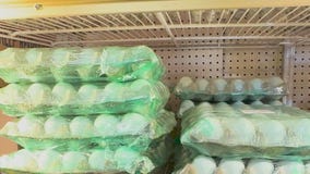 Eggflation shows no sign of cracking, partly due to bird flu