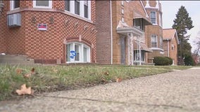 Triple homicide suspect killed in shootout with Berwyn police