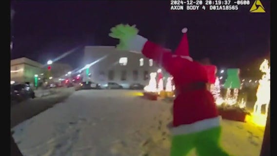 Holiday Spirit Saved: Grinch caught trying to steal Aurora?s Christmas tree