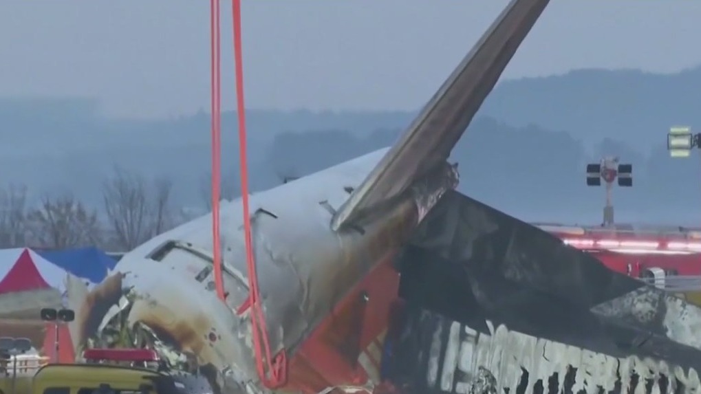 Investigation launched into South Korean plane crash that killed over 170