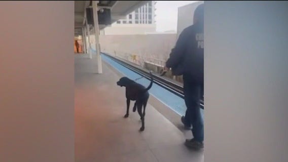 Chicago police officers respond to bomb threats on CTA Red Line