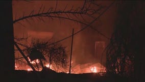 Wildfires rage out of control in Los Angeles area