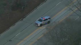 2 arrested for carjacking pregnant woman, child taken during attack in Libertyville