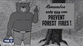 Will County nature sites display paintings of 'Smokey Bear'