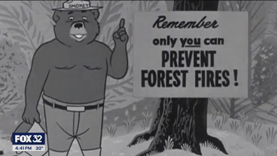 Will County nature sites display paintings of 'Smokey Bear'