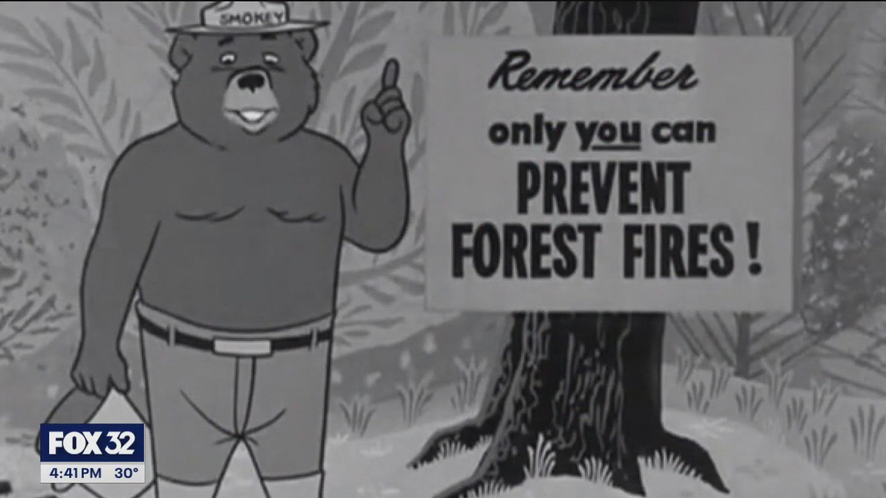 Will County nature sites display paintings of 'Smokey Bear'