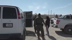 Illinois sues after Trump's executive order ending birthright citizenship