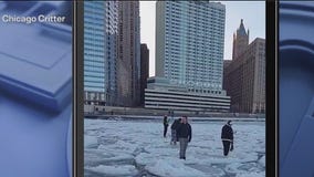 Several people seen walking on Lake Michigan's shelf ice at Ohio Street Beach