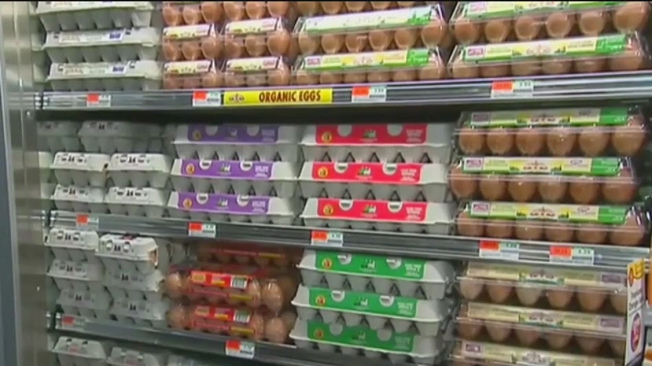 High cost of eggs forces people to find alternatives