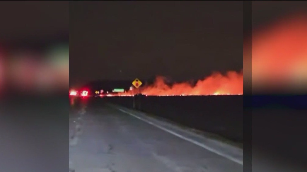 Fire at Cook County forest preserve under investigation | FOX 32 Chicago