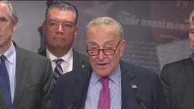 'Turns your stomach?: Schumer responds to Trump?s DEI comments on plane crash